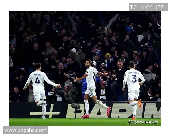 卡尔弗特勒温精彩进球助力埃弗顿战胜利兹联取得重要胜利 卡尔弗特勒温精彩进球助力埃弗顿战胜利兹联取得重要胜利