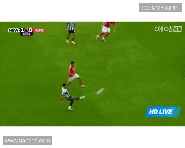 全面解析最新赛事动态与资讯整理助你掌握体育世界的脉动与精彩瞬间