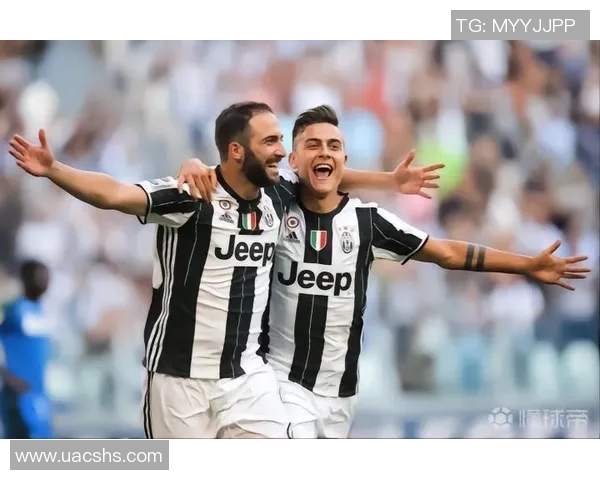 赛事黑马崛起之路揭秘从默默无闻到耀眼夺冠的传奇历程 赛事黑马崛起之路揭秘从默默无闻到耀眼夺冠的传奇历程